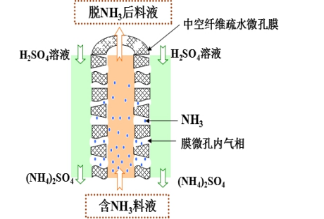 氣態膜法脫氨的基本原理（中空纖維膜剖面圖）.jpg